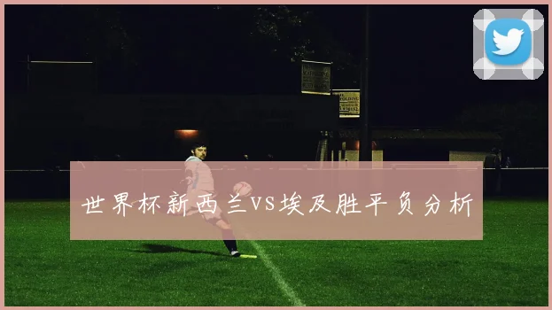 世界杯新西兰vs埃及胜平负分析