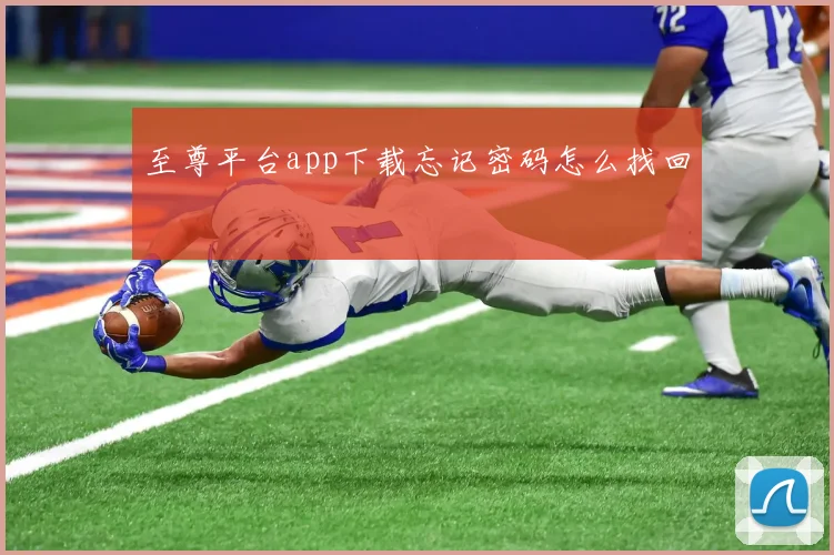 至尊平台app下载忘记密码怎么找回